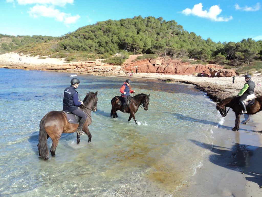 Horseback riding in Menorca