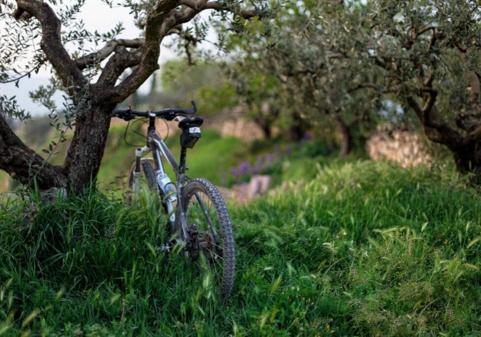 Cycling around the Son Felip estate and Menorca